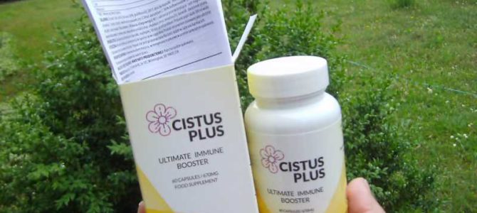 Na odporność dla aktywnych – tylko czystek z Cistus Plus